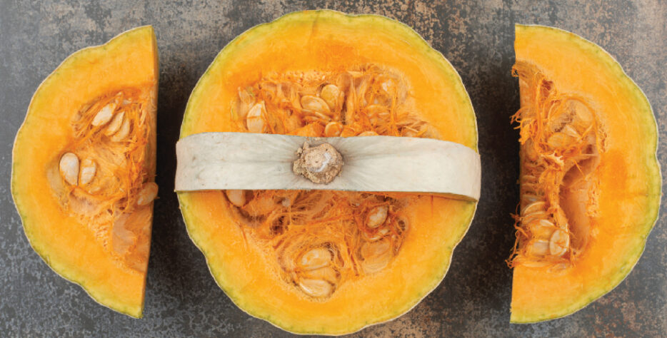 Sweet, nutritious pumpkins harvested at peak maturity and carefully graded for premium export quality.