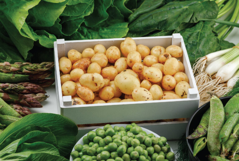 Fresh, firm, and export-grade potatoes sourced from fertile Bangladeshi farms, cleaned and sorted for global markets.